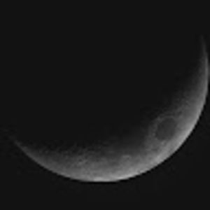 Meet your Posher, Cody